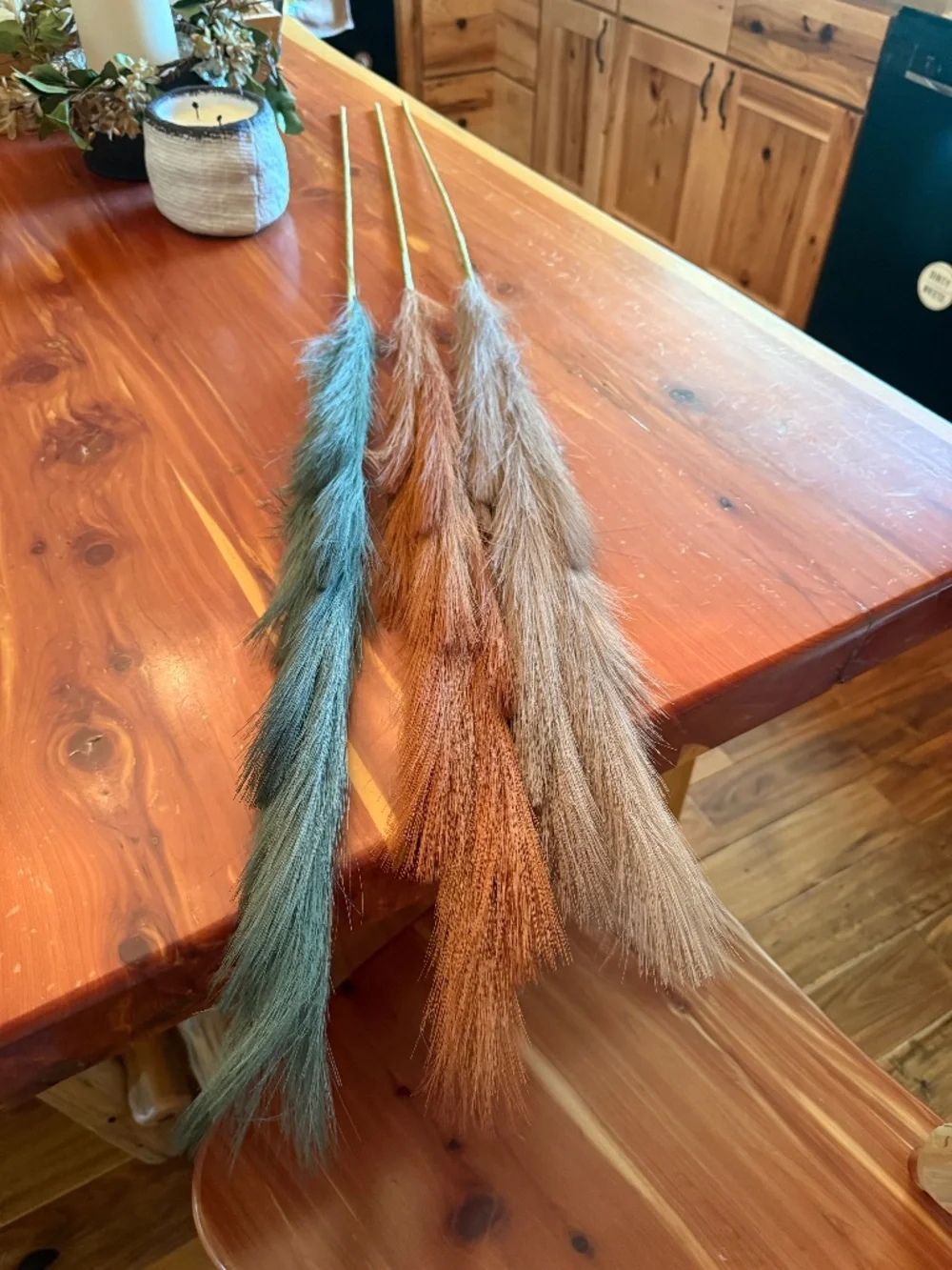 Pompas grass stems NWOT